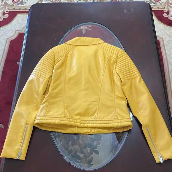 Jacket - Picture 14 of 15